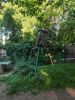 IMG_20220625_180638.thumb.jpg.0770fdf9fa8de5a4d01ae23dbb63d251.jpg