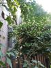 IMG_20220625_180908.thumb.jpg.d09c22be4b8edadfceea56c1439c9787.jpg