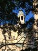 IMG_20220625_183905.thumb.jpg.bee7505b3d4c765305f172d2b5b58c7e.jpg