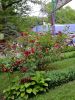 IMG_20220625_191934_1.thumb.jpg.4d860078abb9845260525ab77802fe59.jpg