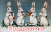IMG_20220630_132450.jpg