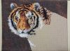 IMG_20220702_013952.thumb.jpg.ed74facd846f0b7dbb3556c274e55d67.jpg