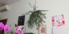 IMG_20220706_110749.thumb.jpg.07443498bb26e00178681be46d108cfa.jpg