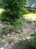 IMG_20220707_121525.thumb.jpg.6c9c2d0b539e0b2447b76c445e815954.jpg