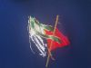 IMG_20220710_100156.jpg
