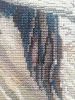IMG_20220711_073037.thumb.jpg.76dafe99569fbaba5e8e4c706f513546.jpg
