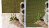 IMG_20220711_164503.thumb.jpg.913c94ee31386a82361888dbf77a0bfa.jpg