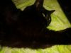 IMG_20220712_110619.thumb.jpg.32d2061e2594656dafe36169e416daee.jpg