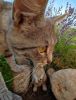 IMG_20220714_180846.thumb.jpg.eb425e556855c1bbdcb182ef7bc32e67.jpg