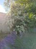 IMG_20220714_181310.thumb.jpg.e3d28160d797085d41b4271eeff32c61.jpg