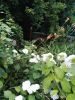 IMG_20220714_202857.thumb.jpg.3965dee046664e9f8c224df832bc18e9.jpg