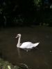 IMG_20220716_125152.thumb.jpg.33e4d0b568adc32b34ef2462710fdf44.jpg