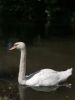 IMG_20220716_125212.thumb.jpg.750cb58df62144d87b30286bb78cb04d.jpg