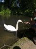 IMG_20220716_125423.thumb.jpg.5c27791619d6348c1d62b7ef477aa31c.jpg