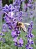 IMG_20220716_135830.thumb.jpg.3d09c602cdf6ce84ff2f91e4799faddd.jpg
