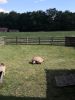 IMG_20220716_151646.thumb.jpg.1f6664993ba3e095b5476d0f7a4ed633.jpg