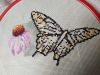 IMG_20220716_181945_compress84.thumb.jpg.637b1017d6cccbd993a8a0e5fa00c971.jpg