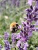 IMG_20220717_135911.thumb.jpg.8b7f835abd33d1b9481e047f9ce7f8b4.jpg