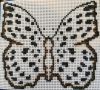 IMG_20220717_152515.thumb.jpg.561586f98e6102ab83f97eb7a014046f.jpg