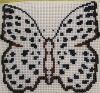 IMG_20220717_152546.thumb.jpg.110c210c6bcbdaaa1fffed15b30aa68d.jpg