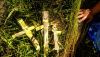 IMG_20220718_101028.thumb.jpg.7464298638c8a43c8d9799b55a294bb8.jpg