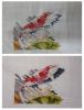 IMG_20220718_103230.thumb.jpg.f20c39a87a48d72faad757dbed8cbd5c.jpg