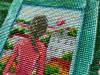 IMG_20220722_121725.thumb.jpg.10ae039810aa8b32ba3a9f46363d353c.jpg