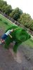 IMG_20220723_191859.jpg