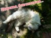 IMG_20220723_233740.jpg