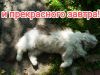 IMG_20220723_234515.jpg
