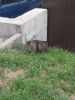 IMG_20220725_174019_217.thumb.jpg.87f2b16cf5b944bc3e3956c9c3eb7abb.jpg