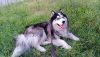 IMG_20220726_011534_765.thumb.jpg.aaa0fda2fd7add6b9616541df0c074fa.jpg