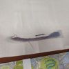 IMG_20220726_221514.jpg