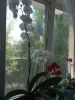 IMG_20220727_113611.thumb.jpg.65574d86f6a7cf9f0e3a38c1f291c563.jpg
