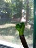 IMG_20220727_114239.thumb.jpg.fa07ef3015c94450d1ce2fa68e241248.jpg