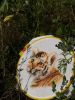 IMG_20220731_175840.thumb.jpg.9ea42394b5fde5d59e83633b4c2fcad6.jpg