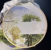 IMG_5198.thumb.jpg.e9692bb8d24b44d314db3b1e13201bf2.jpg