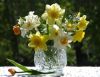 flowers.thumb.jpg.63f9ff9c90c5173eb731c349992792b6.jpg