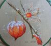 physalis_3.jpg.60569b7f0e94a9b54c1cf0e27c5f5080.thumb.jpg.8b0cd8db3ca58e190fec03a3b562a9b6.jpg