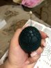 1106666756_.thumb.jpg.7c63dd28a4622e489f1e6d9a59b63001.jpg