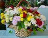 1649894161_21-vsegda-pomnim-com-p-astri-kompozitsii-foto-21.thumb.jpg.e9eb13534cfe89c41ab320ed4e6bafc1.jpg