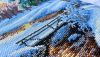 1669343819_c1_pPetV2im3X4_182ee7d476e_8.thumb.jpeg.237cfb5dfc7c41b47b7b668d86560e3e.jpeg
