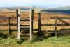 1920214777_2022-04-1622_33_22.thumb.png.d5d598f719a3b846baa6cebf7b3ee3e4.png
