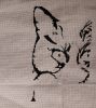 1cat2108_1.thumb.jpg.a3c775a4f1bc0bbaf7d77d11849d94ae.jpg