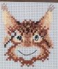 2.thumb.jpg.63c608731c66dfd4550d487ebd839f2c.jpg