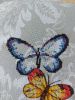 20220624_074106.thumb.jpg.db7ea759b38964ad19c2eabba7085e26.jpg