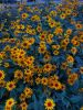 20220801_204502.thumb.jpg.8f8cfb19deff95ed9107aa6c1cb3a8f7.jpg