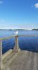 20220809_083455.jpg