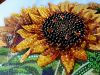 20220821_180643.thumb.jpg.047856668830add4478e872530179c5a.jpg