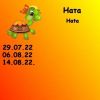 284843165_8.thumb.jpeg.5f7e02bc459d4ecd065f31ec9ecdc5c0.jpeg
